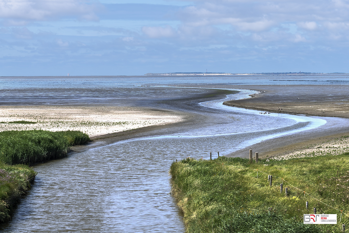 Wad bij Zwarte Haan