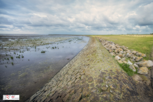 Dam Wad Ternaard