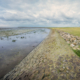 Dam Wad Ternaard