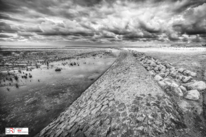 Dam Wad Ternaard in zwart-wit
