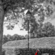 Scooter in zwart-wit met rood accent