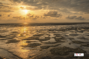 voor zonsondergang Ternaard