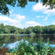 Galgwanderveen_Braamsplas Eext