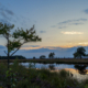 Holtveen Dwingelderveld zonsondergang en boom