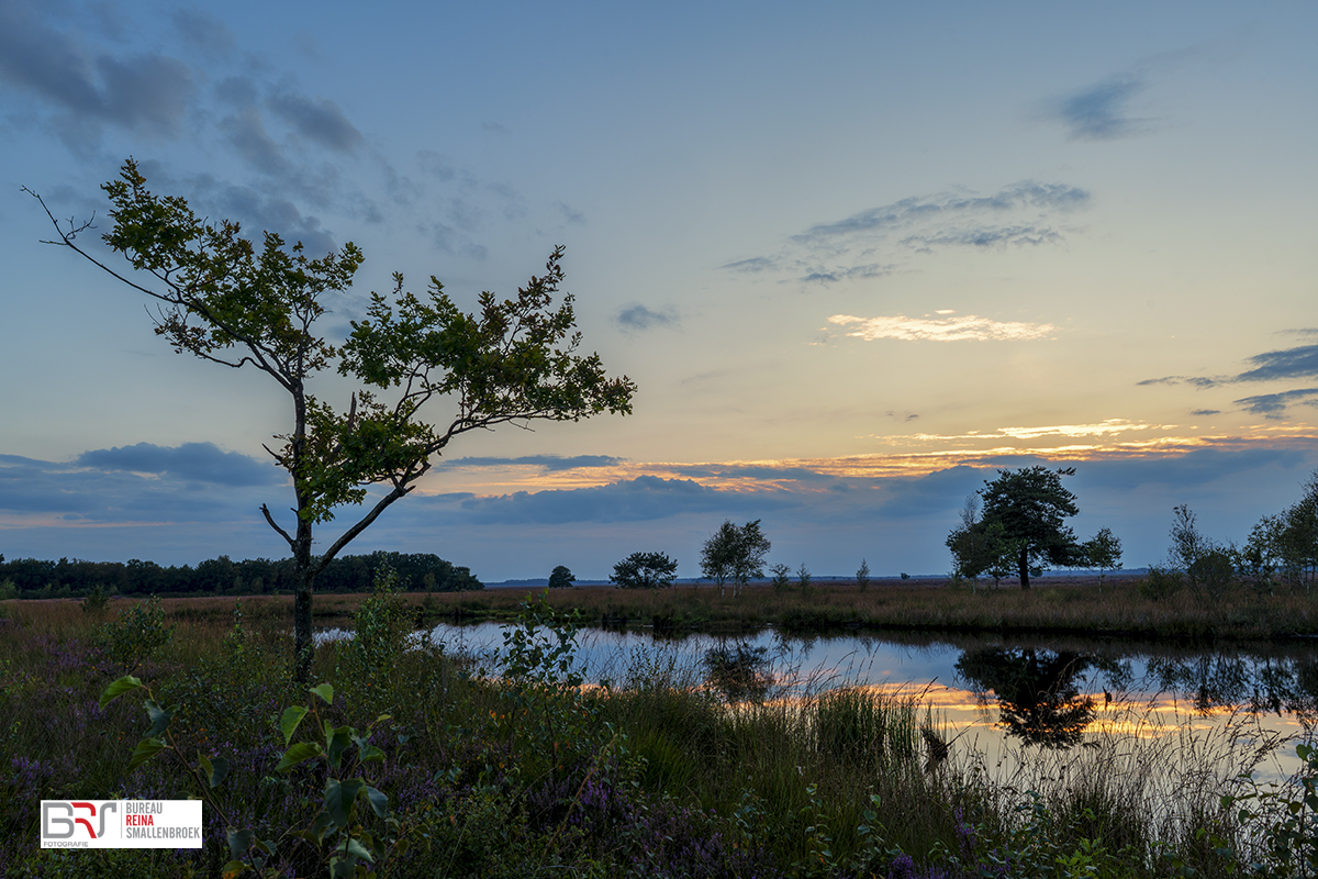 Holtveen Dwingelderveld zonsondergang en boom