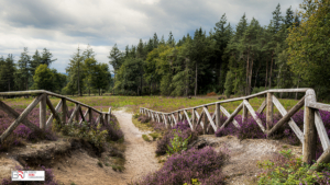 Karakteristieke hekwerk Lemelerberg