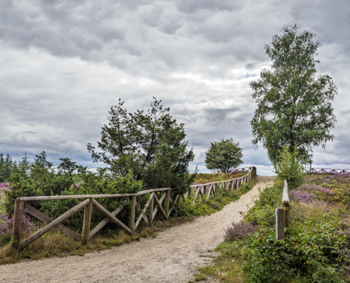 Lemelerberg