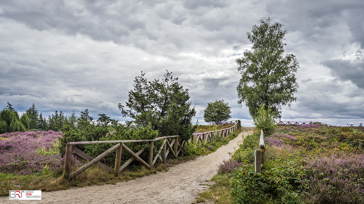 Lemelerberg