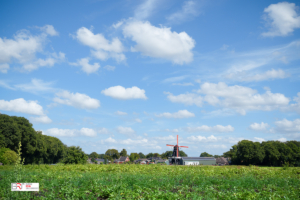 Molen De Hoop Norg vanaf de Heegkampweg