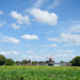 Molen De Hoop Norg vanaf de Heegkampweg