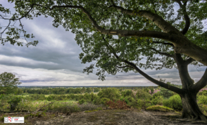 Uitzicht vanaf de Lemelerberg