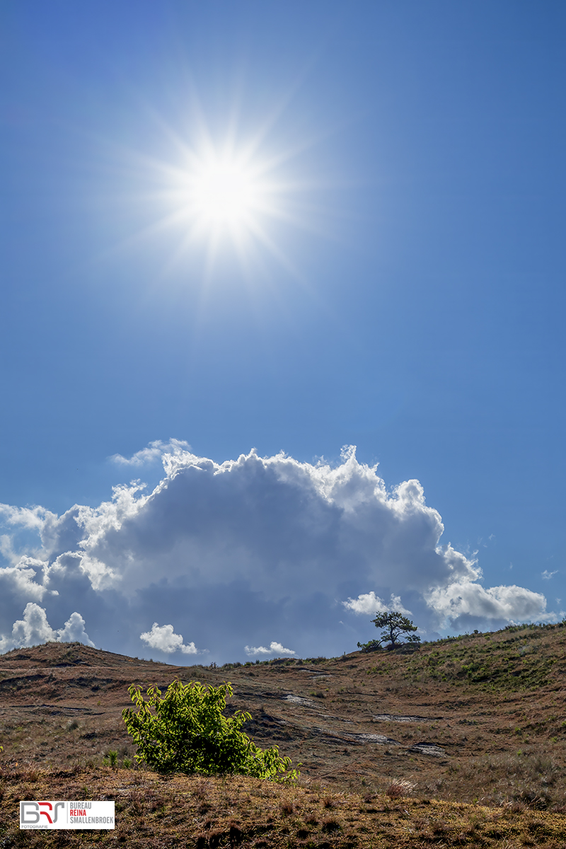 De Duinen van vlieland met Sunburst