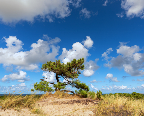 Den Vuurboetsduin Vlieland