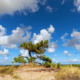 Den Vuurboetsduin Vlieland