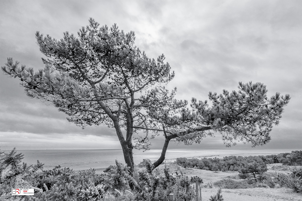 Den op de Vuurduin bij de Vuurtoren van Vlieland