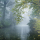 Mist op landgoed Nienoord over water met eendjes