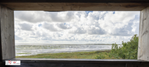 a room with a view Vogelkijkhut Vlieland