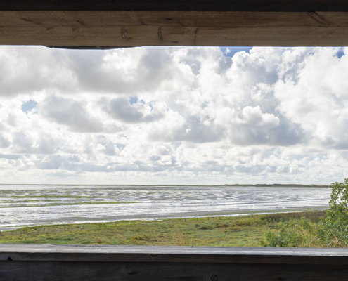 a room with a view Vogelkijkhut Vlieland
