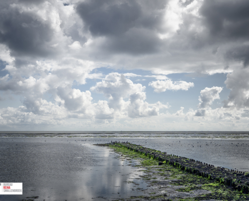golfbreker bij laagwater Vlieland