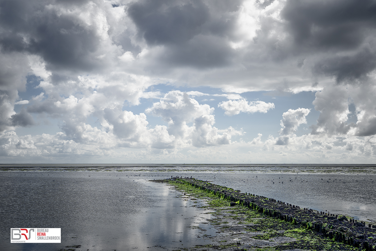 golfbreker bij laagwater Vlieland