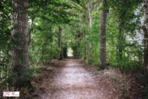 bospad Heemtuin Muntendam