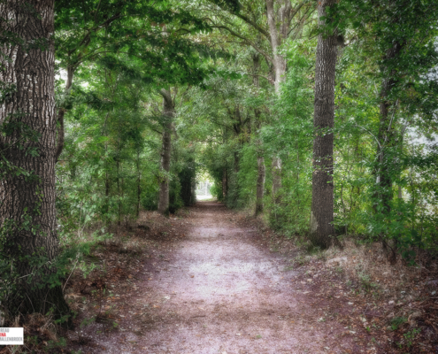 bospad Heemtuin Muntendam