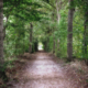 bospad Heemtuin Muntendam
