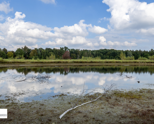 Plas Heemtuin Muntendam