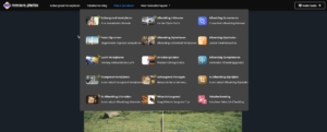link remove photos