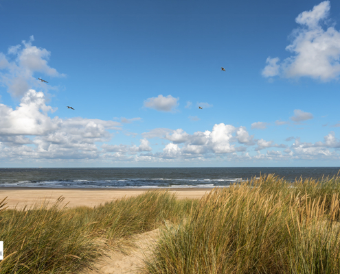 vanaf de duinen richting de Noordzee