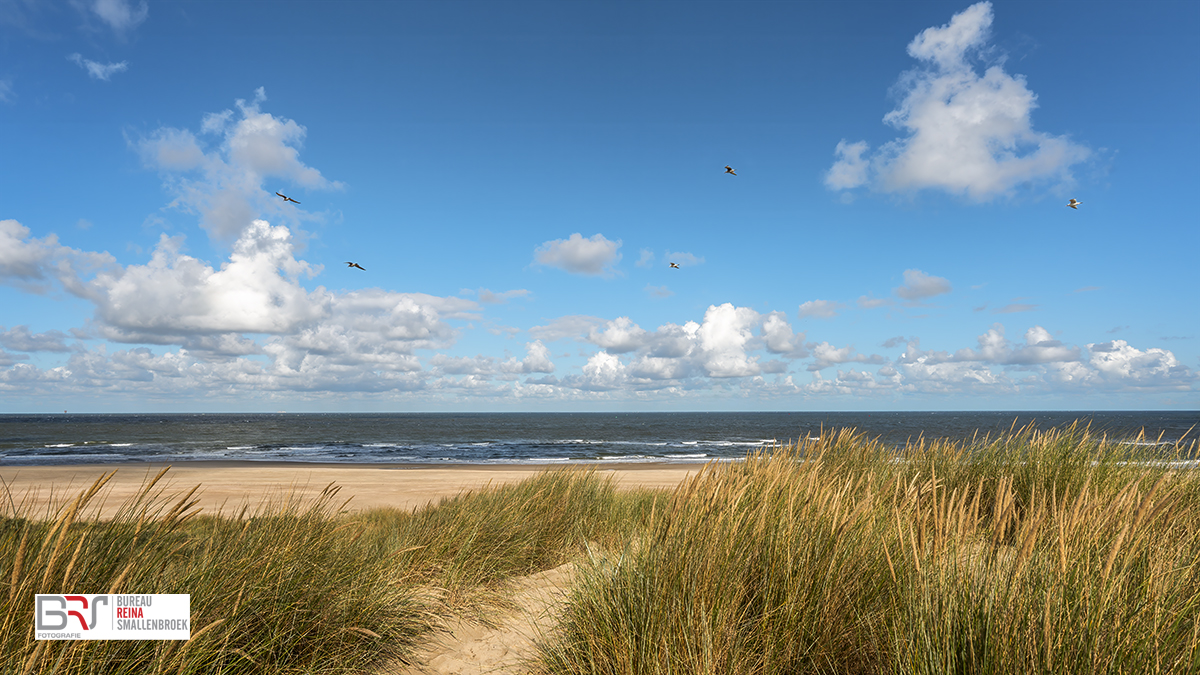 vanaf de duinen richting de Noordzee