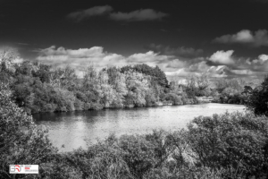Amsterdamse Waterleiding Duinen