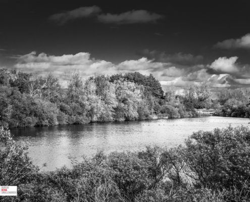 Amsterdamse Waterleiding Duinen