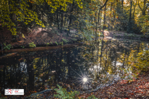 Fraeylemaborg met sunburst in het water