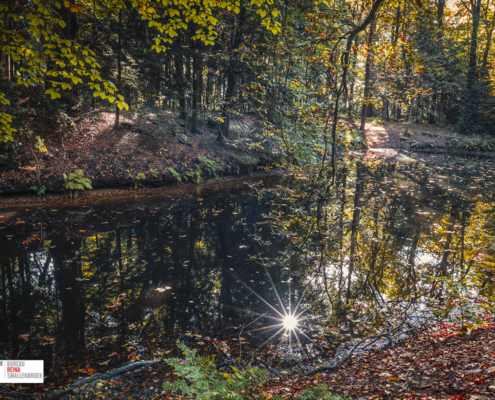 Fraeylemaborg met sunburst in het water