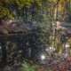 Fraeylemaborg met sunburst in het water