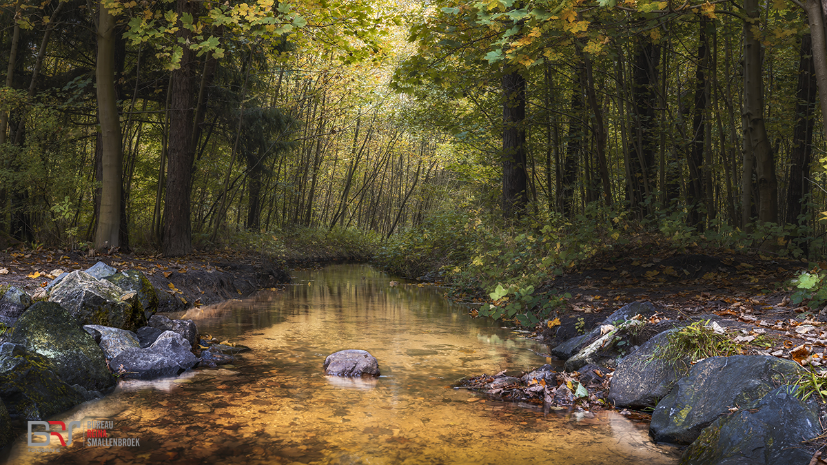 Waterloopbos