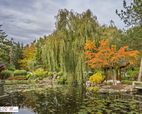 Chinese Tuin Hortus Botanicus Haren