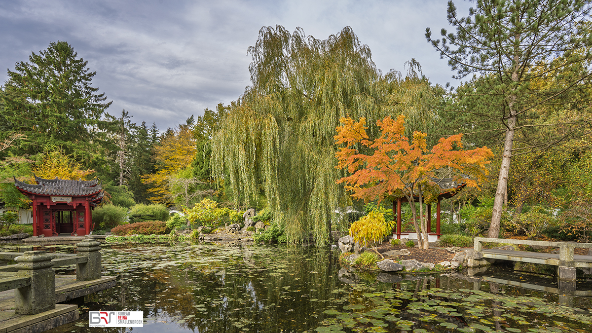 Chinese Tuin Hortus Botanicus Haren