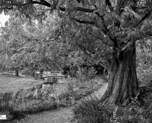 De Rotstuin Hortus Botanicus