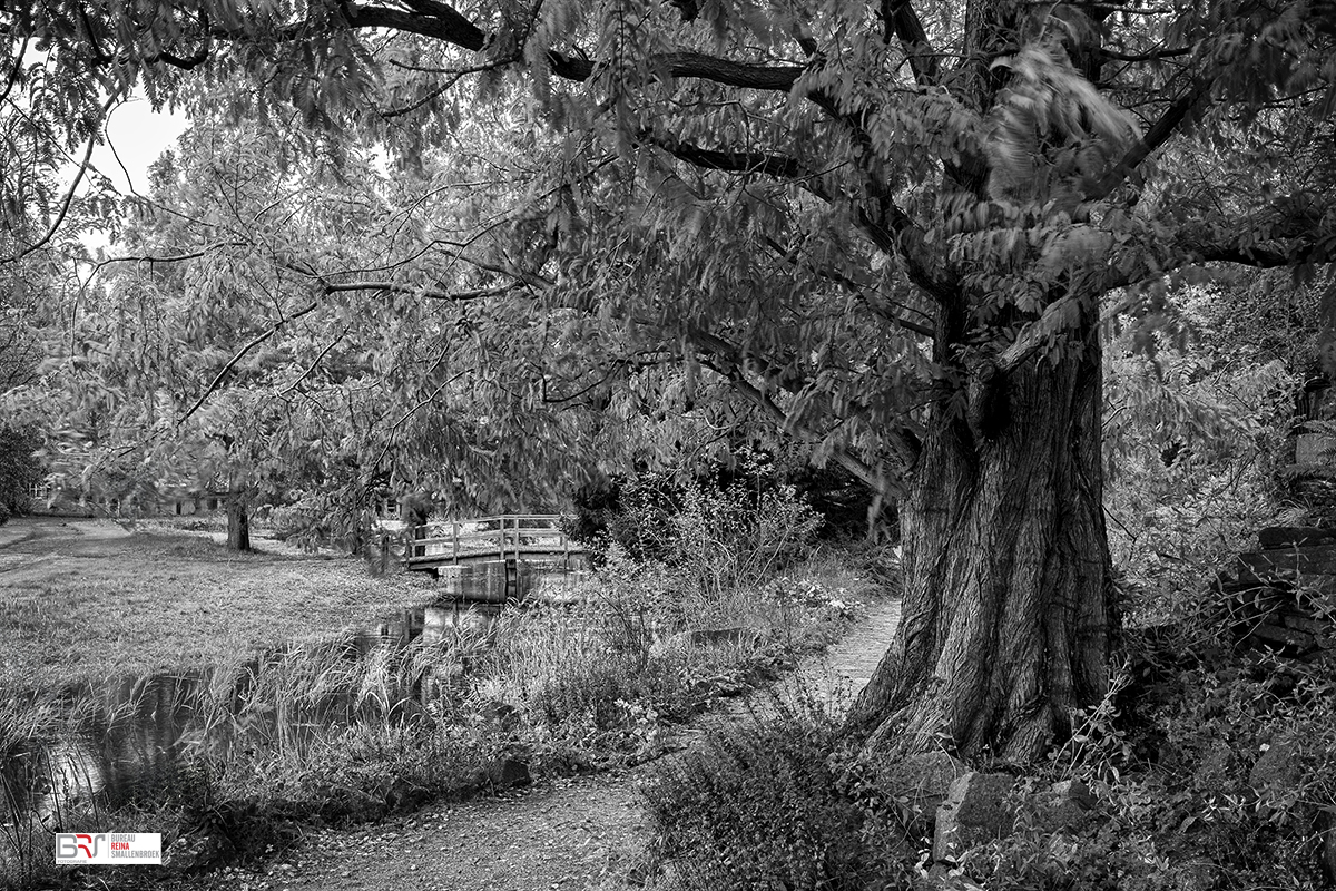 De Rotstuin Hortus Botanicus
