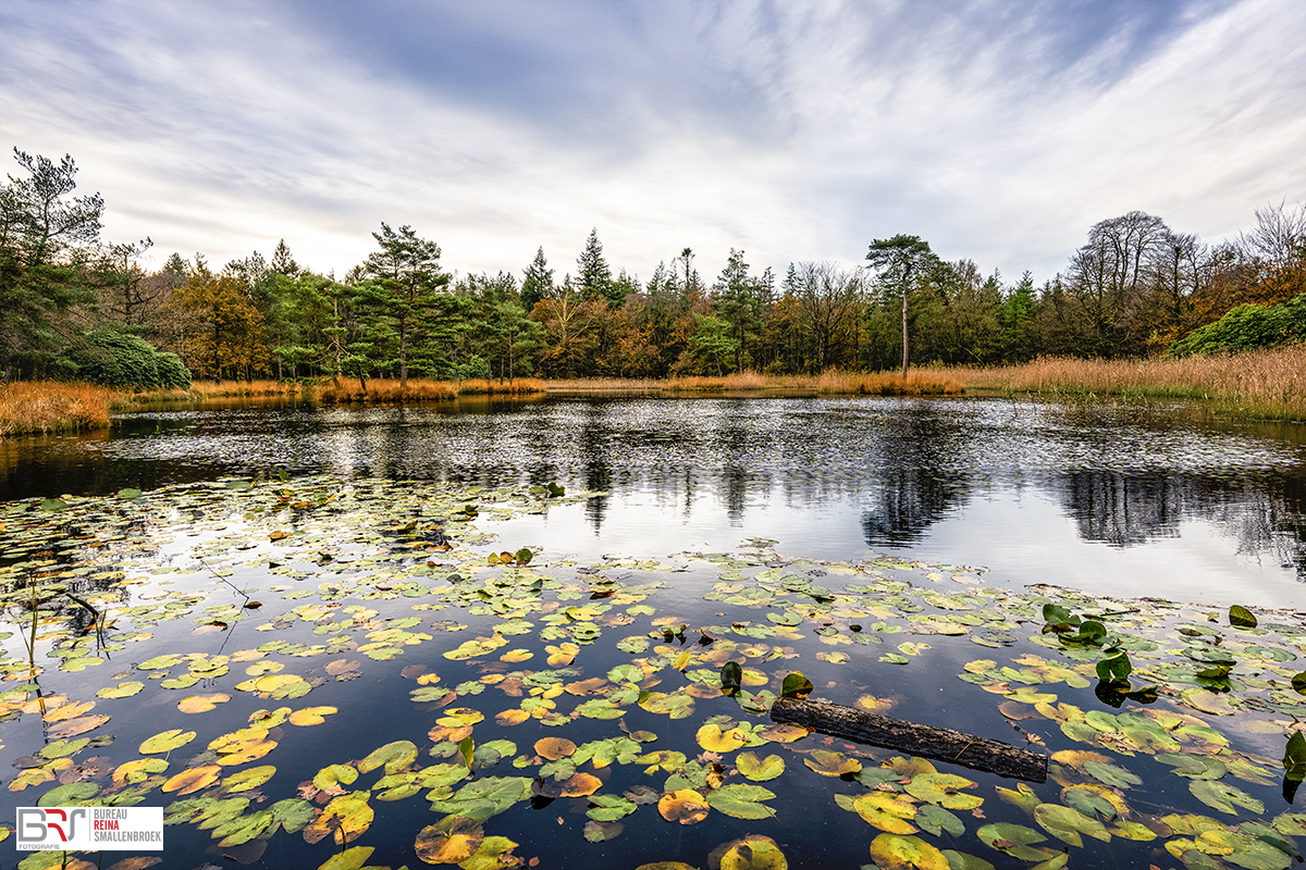 Freulevijver Bakkeveen in de Herfst