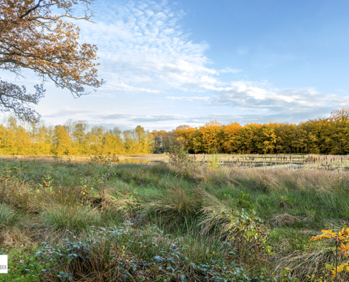 Herfstkleuren Slotplaats Bakkeveen