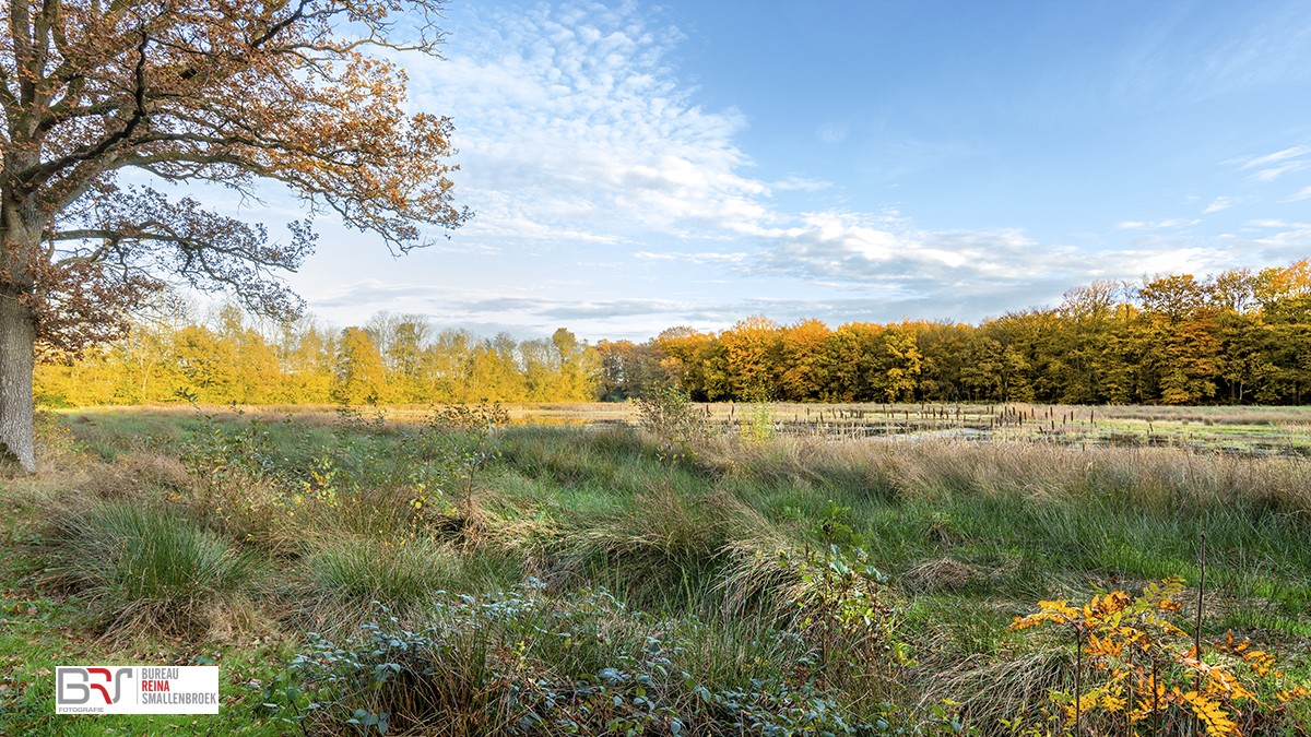 Herfstkleuren Slotplaats Bakkeveen