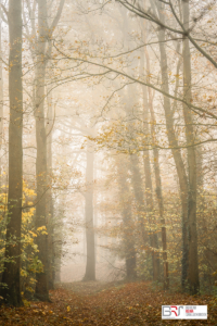Stadspark Old Ruitenborgh