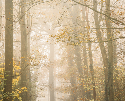 Stadspark Old Ruitenborgh