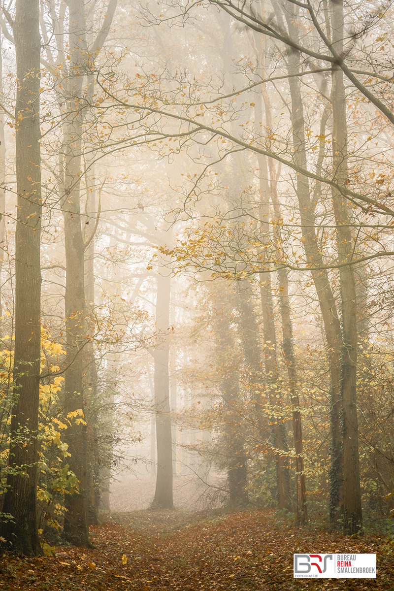 Stadspark Old Ruitenborgh
