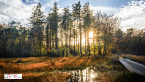 SLotplaats Bakkeveen