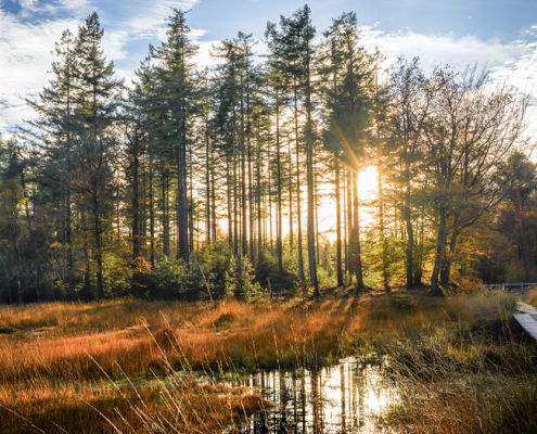 SLotplaats Bakkeveen