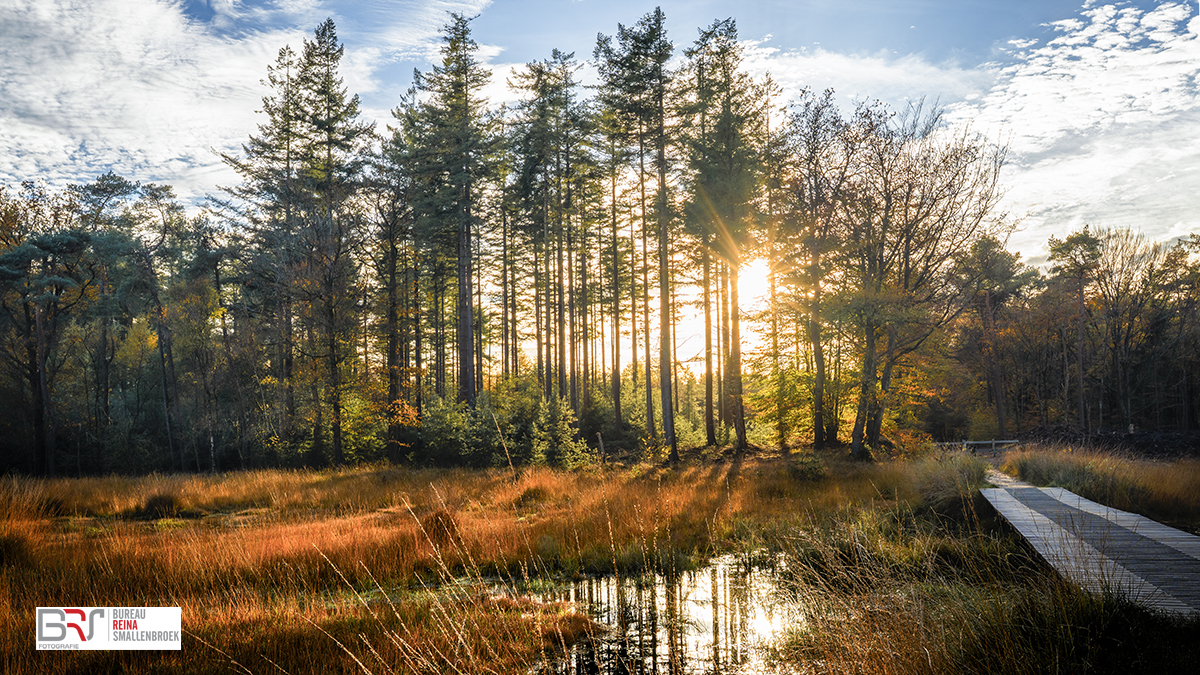SLotplaats Bakkeveen